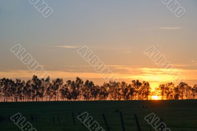 landscape silhouette