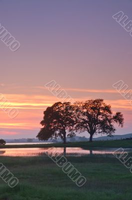 landscape silhouette