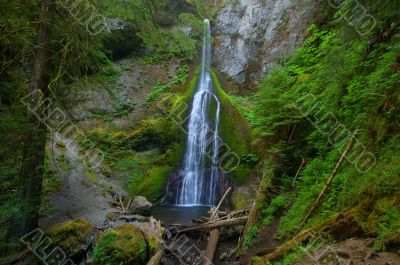 Waterfall in the forest