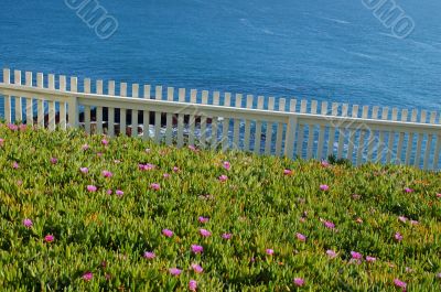 Coastal Views