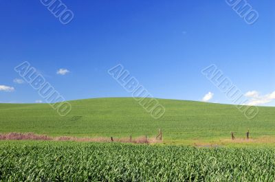 spring countryside
