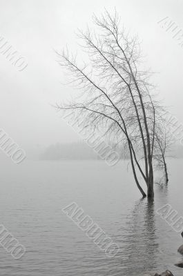 snowy lakeshore