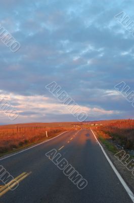 lonely road