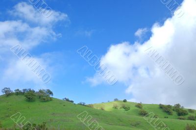 verdant hillside