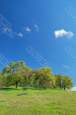 spring countryside