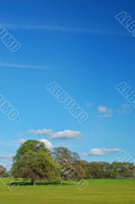 spring countryside