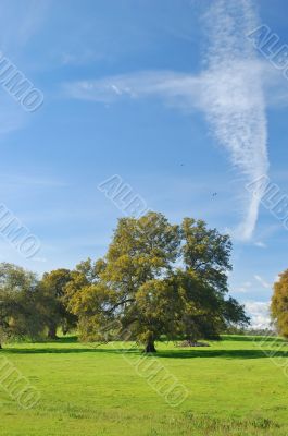 spring countryside