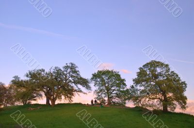 spring countryside
