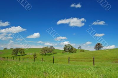 spring countryside