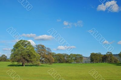 spring countryside