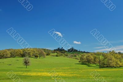 spring countryside