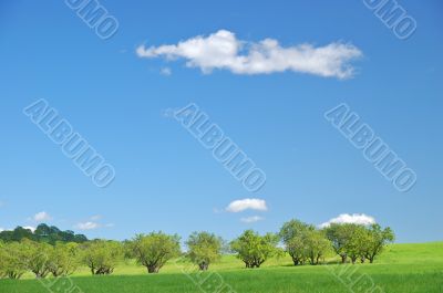 rural spring countryside