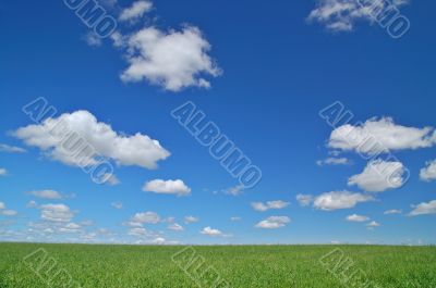 rural spring countryside