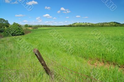 rural spring countryside