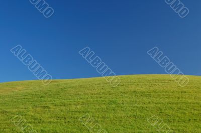 rural spring countryside
