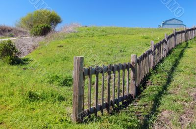 springtime coastal meadow