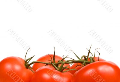 Tomatoes
