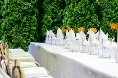 Party table