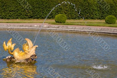 Fountain at the Peterhof Palace.