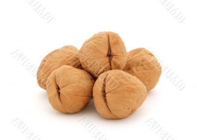 Walnuts (clipping path)