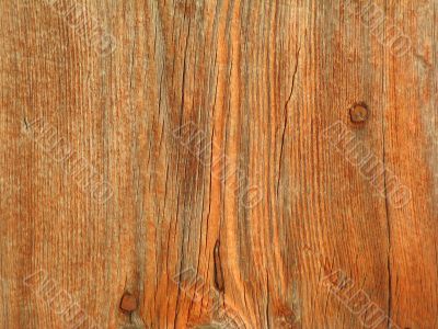 Wooden background