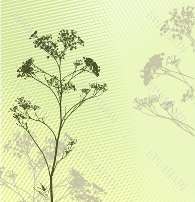 grass shiluette background