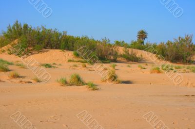 Sand dune