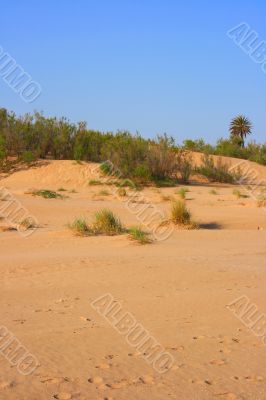 Sand dune