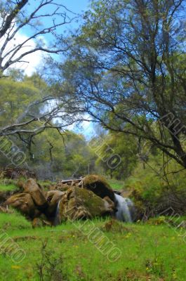 spring countryside