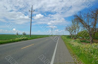 spring countryside