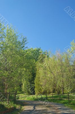 spring countryside