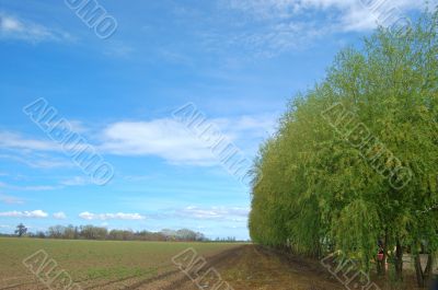 rural countryside