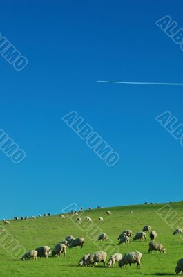 rural countryside