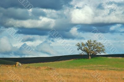 rural countryside