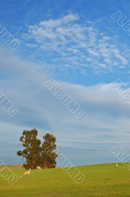 rural countryside