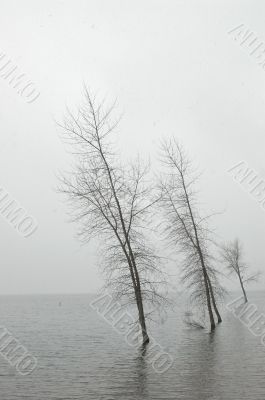 winter afternoon