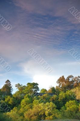 spring countryside