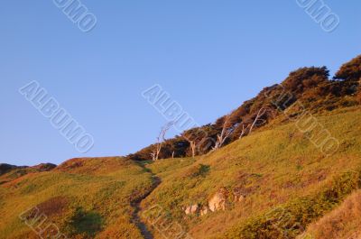 Mt. Tamapalais