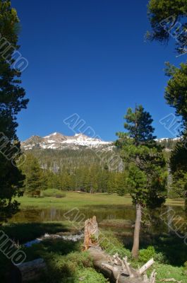 Mountains in springtime