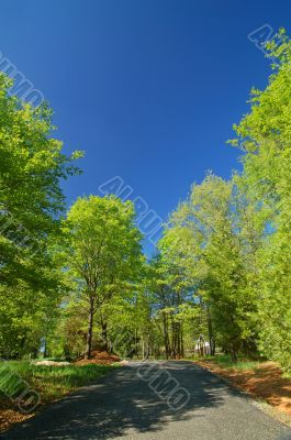 road in the spring