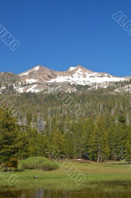 Mountains in springtime