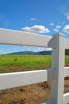 verdant spring landscape