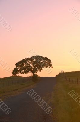 landscape silhouette