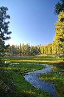 Mountain lake in springtime