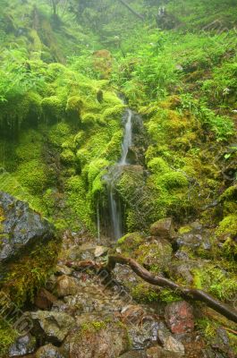 Waterfall in the forest