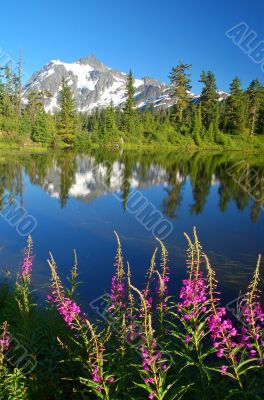 Peak Reflections