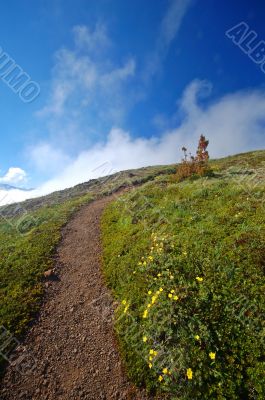 Trail in the mountains