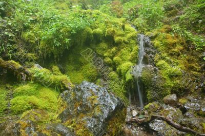 waterfall