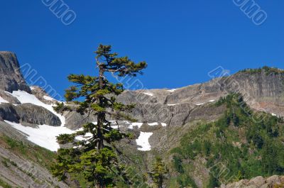 mountain views