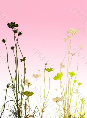 floral style textures